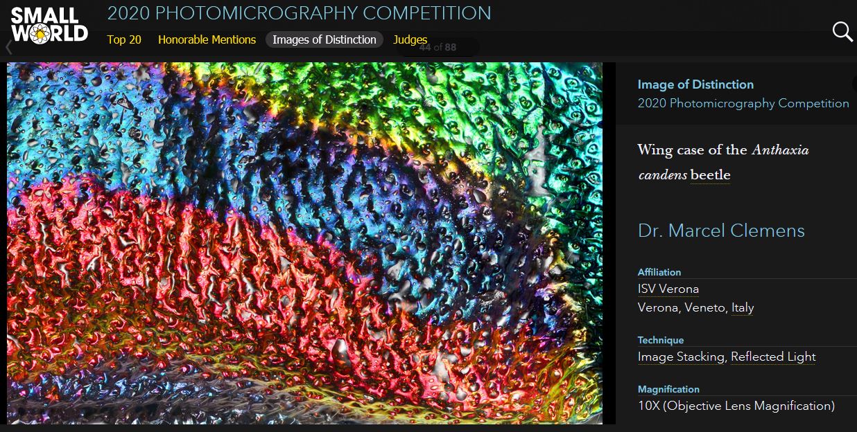 Nikon competition